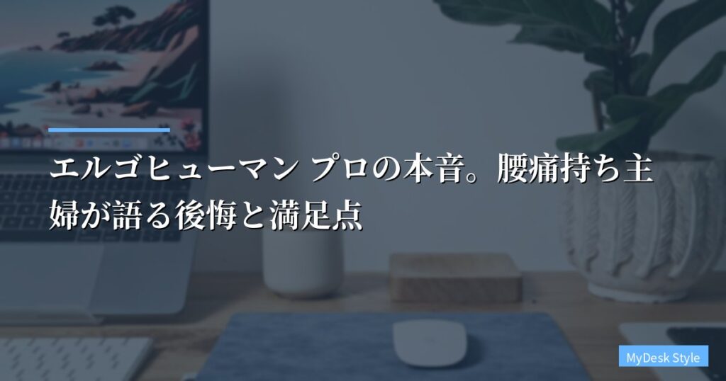 【5年愛用レビュー】エルゴヒューマン プロの本音。腰痛持ち主婦が語る後悔と満足点